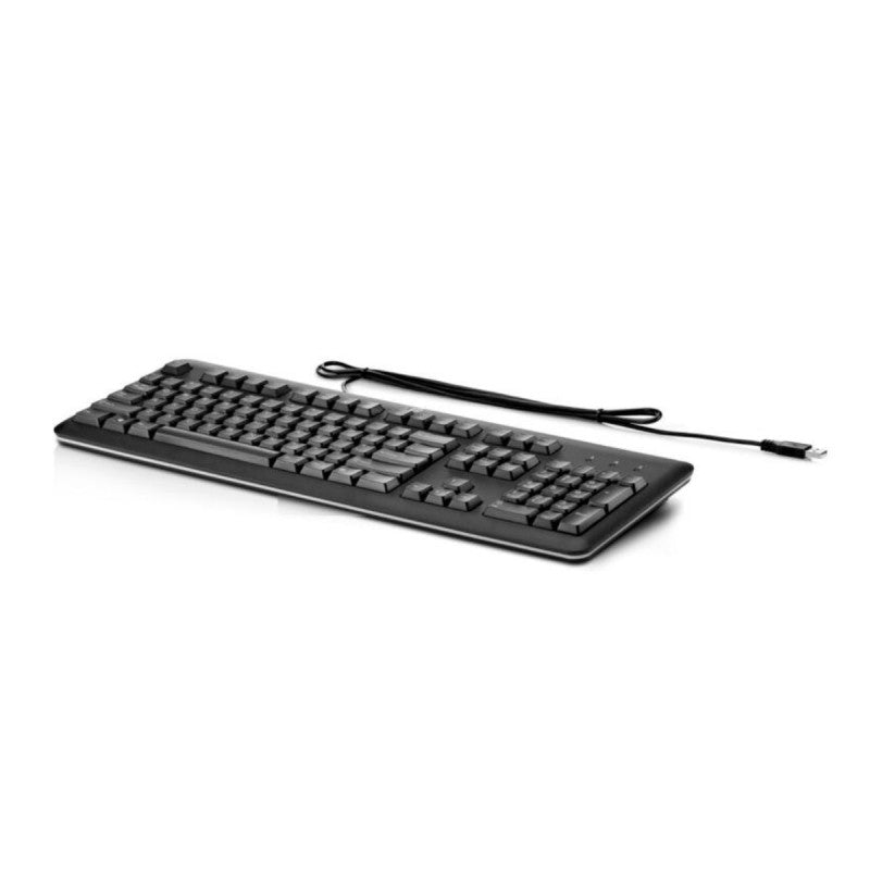 Teclado HP USB AZERTY Francés (QY776AAABF), Negro, Km0 Caja Original