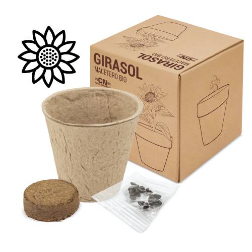 Maceta bio con semillas de girasol