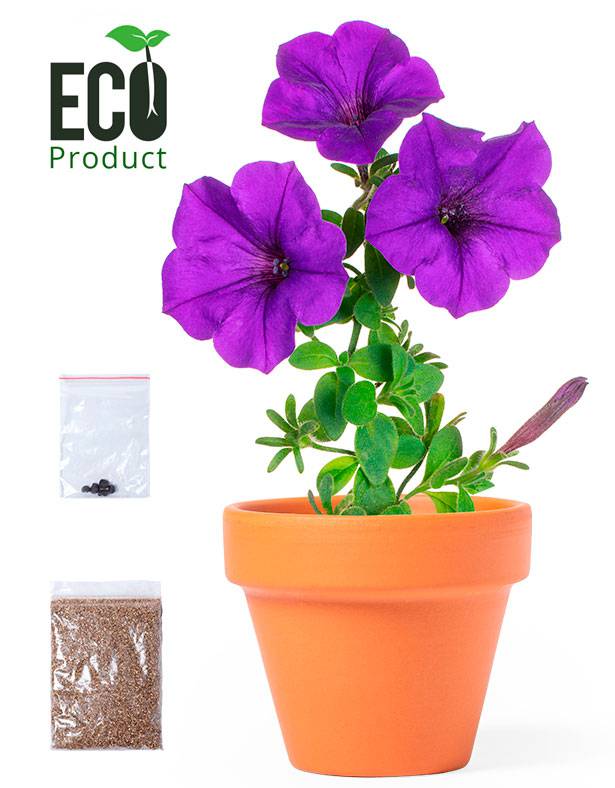 Maceta con flores petunia