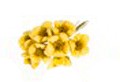 Ramillete con 8 flores decoración 2.5 cm amarillo