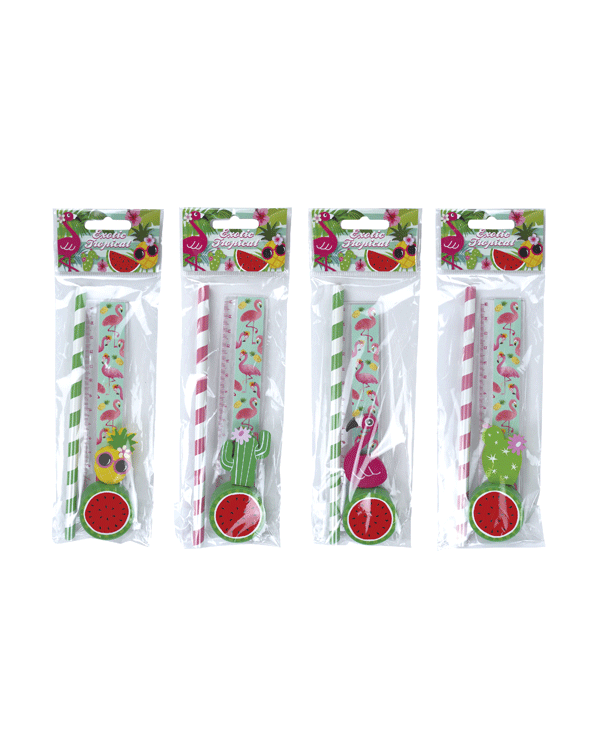Set 4 piezas papelería tropical exotic